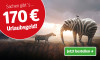 Anzeige für ein Zeitungsabonnement mit Sommermotiv. Text: "Sachen gibt`s ... 170 € Urlaubsgeld!" Mit Elefant mit Zebra-Streifen in der Sonne und Button „Jetzt bestellen“.