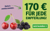 Anzeige für ein Zeitungsabonnement. Text: "170 € für jede Empfehlung!" und Button „Jetzt bestellen“.