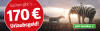 Anzeige für ein Zeitungsabonnement mit Sommermotiv. Text: "Sachen gibt`s ... 170 € Urlaubsgeld!" Mit Elefant mit Zebra-Streifen in der Sonne und Button „Jetzt bestellen“.