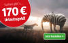 Anzeige für ein Zeitungsabonnement mit Sommermotiv. Text: "Sachen gibt`s ... 170 € Urlaubsgeld!" Mit Elefant mit Zebra-Streifen in der Sonne und Button „Jetzt bestellen“.
