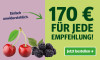 Anzeige für ein Zeitungsabonnement. Text: "170 € für jede Empfehlung!" und Button „Jetzt bestellen“.
